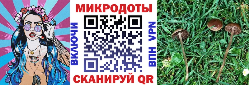 где купить наркоту  Сим  blacksprut ссылка  Псилоцибиновые грибы ЛСД 