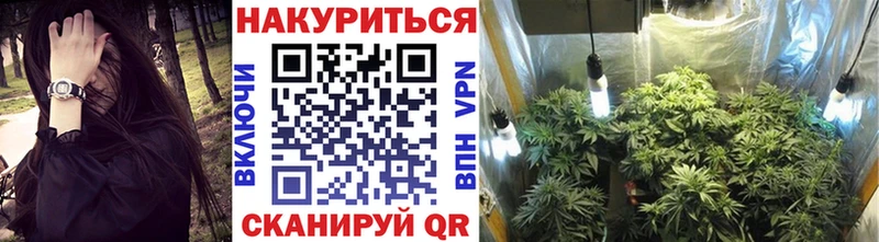 Конопля сатива  даркнет состав  Сим  blacksprut сайт 